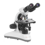  MC 300 (XP)